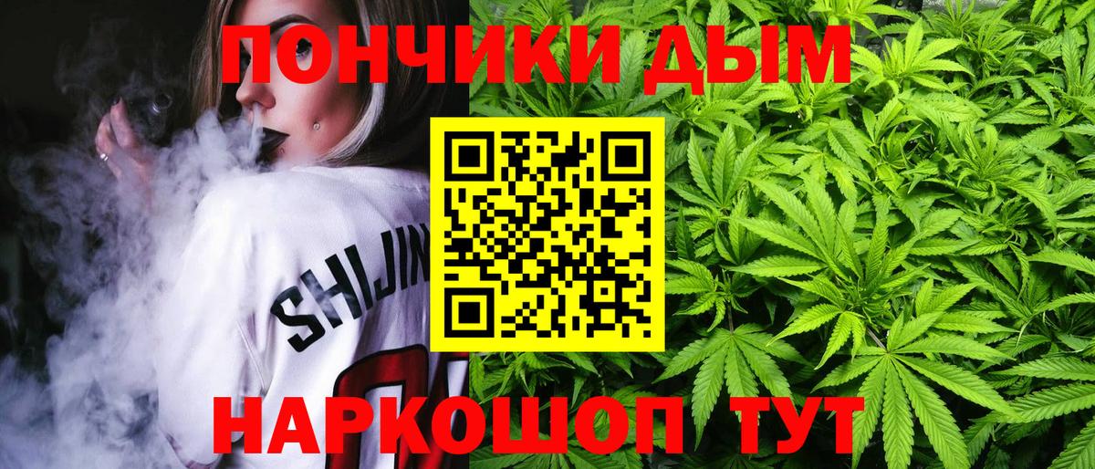 Бошки Шишки индика Гусиноозёрск